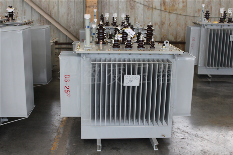 甘南S20-800kVA/10kV/0.4kV变压器